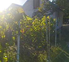 Продам дом в Березановкне