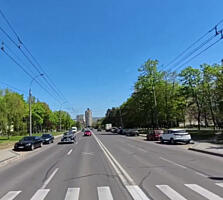 4-комнатная квартира, Ботаника.