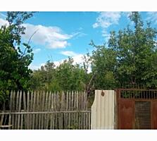 Земельный участок