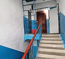 На БАМе. Рядом берёзовая роща.