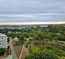 На БАМе. Рядом берёзовая роща.