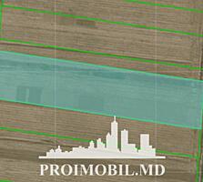 Spre vânzare se oferă teren agricol, situat în Criuleni. ...