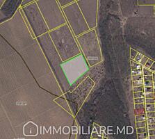 Teren agricol, or. Ialoveni (extravilan) Vă propunem spre vânzare un .