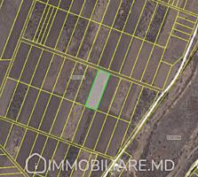 Teren agricol, or. Ialoveni (extravilan) Vă propunem spre vânzare un .