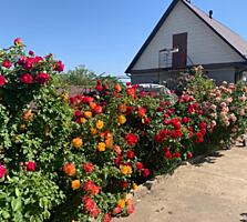 Предлагается к продаже уютный, одноэтажный частный дом в ближайшем ...