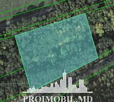 Spre vînzare se oferă 1 ha de pădure, situat în r. Criuleni com. ...