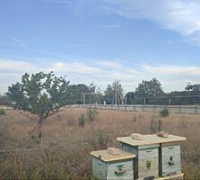 Продаётся ровный, чистый участок правильной формы, огорожен по ...