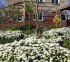 Продам кирпичный дом с. Молодежное/ СК Восход