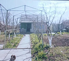 Продам дачу на Тилигульском лимане, с.Кордон (СМ "Тилигульский-12