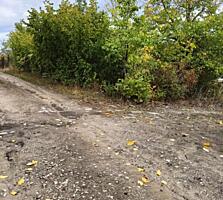 Продается участок 0,04 ha на территории I. P. "Sidev"