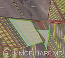 Teren agricol, com. Băcioi Vă propunem spre vânzare un teren agricol .