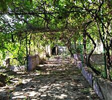 33615 Продам  дом на Слободке, расположенный на ...