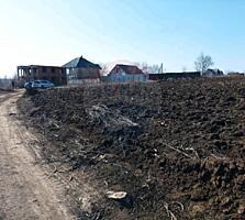 Teren Agricol de Vânzare - 162 Ari în or. Singera, Extravilan