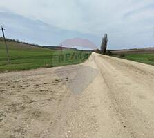 Teren Agricol Extravilan - 350  Ari în or. Ialoveni, Carbuna