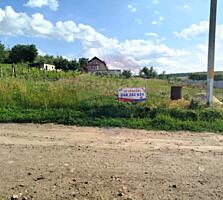 Teren pentru Construcție – 12 Ari în Țînțăreni, Anenii Noi