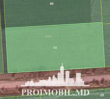 Spre vânzare se oferă teren agricol, situat în Criuleni, satul ...