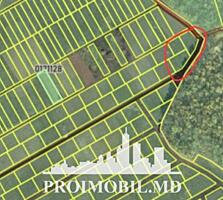 Spre vânzare se oferă teren pentru construcții, situat în Dumbrava. ..