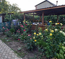 Дом в Светлом — где мечты семьи обретают свои стены