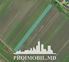 ​ Spre vânzare se oferă teren agricol situat în Ialoveni, satul ...