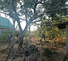 В продаже участок 8 соток под садоводство с домом 30м2. Дом зимнего ..