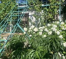 Часть дома в «Золотом треугольнике» Одессы!