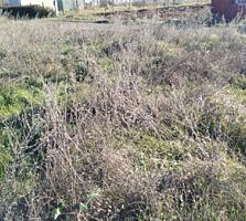 В продаже участок правильной формы в с. Александровка. Участок ...