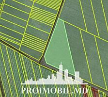 Spre vânzare se oferă teren agricol, situat în or. Ialoveni. ...