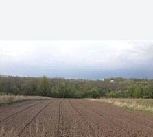 В продаже участок 25 соток земли. Участок правильной формы. Находится 