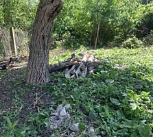 Дом на участке 5 соток в Аркадии