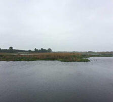 продаж ділянка під житлову забудову Бориспільський, Проців, 192000 $