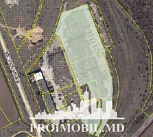 S pre vânzare se oferă teren pentru construcții industriale în or. ...