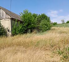 Новый Гырбовец