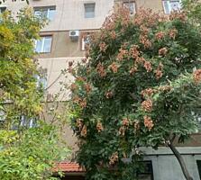 36045. Продаётся 2-комнатная квартира в высотном ...