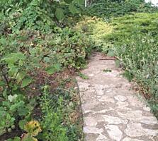 Участок 2,8 сотки, Царское село/Парниковая