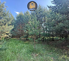 продаж ділянка сільськогосподарського призначення Бориспільський, Гнід