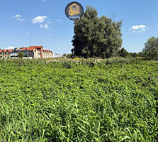 продаж ділянка під житлову забудову Обухівський, Ходосівка, 87000 $