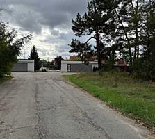 продаж ділянка сільськогосподарського призначення Бориспільський, Іван