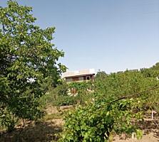 Меренешты! Дачный домик! 25 соток!