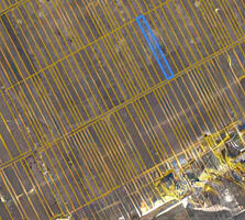 Teren pentru construcții în Or. Durlesti, str. Tricolorului. 9.95 ar.