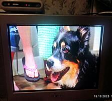 Телевизор Рубин