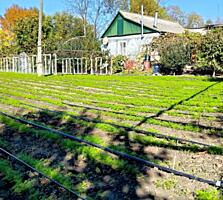 КИЦКАНЫ каменный дом автономка + 2 печи