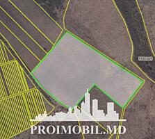 S pre vânzare se oferă teren/livadă de vișine, situat în Ialoveni, ...