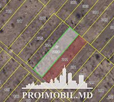 Spre vânzare se oferă teren agricol, situat în Dumbrava, extravilan. .