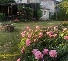 продаж 3-к дача Обухівський, Підгірці, 45000 $