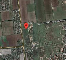 Продается участок 1,5 Га в Светлом Совиньоне под застройку ...