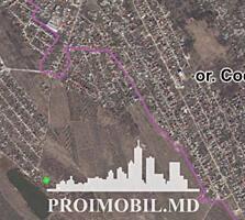 Spre vânzare se oferă teren agricol, situat în Codru.Suprafața totală 