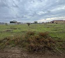 Продаётся земельный участок в селе Молодёжное, Одесская область. ...