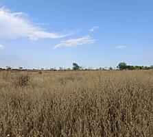 Предлагается к продаже новая нарезка участка площадью 394,74 сотки в .