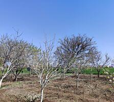 Продам участок в Одессе (институт Таирова). 6 соток. Фасад 19Х33м. ...