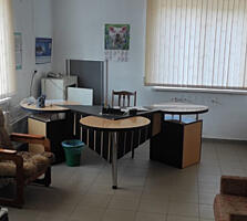 База (готовый бизнес)